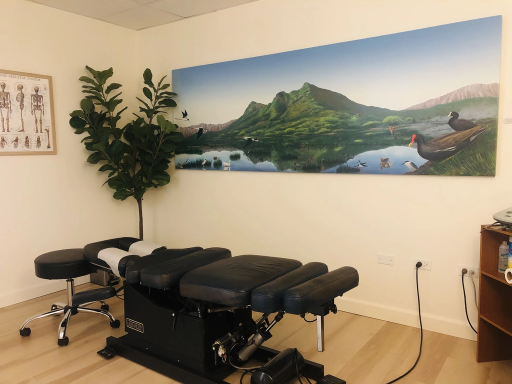 Chiropractic Office 2