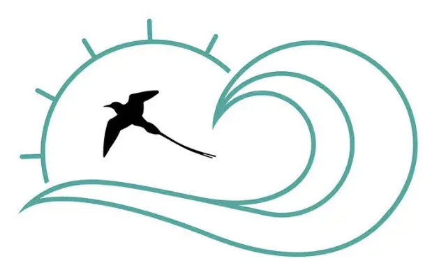 Wildbird Chiropractic Logo
